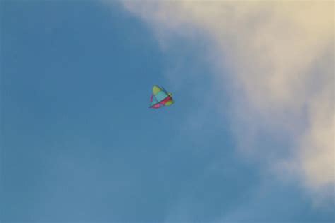 Let Go Fly A Kite Photograph By Bill Rogers Fine Art America
