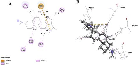 Best Ranked Pose Of Conarrhimin 2d A And 3d B Interactions In The