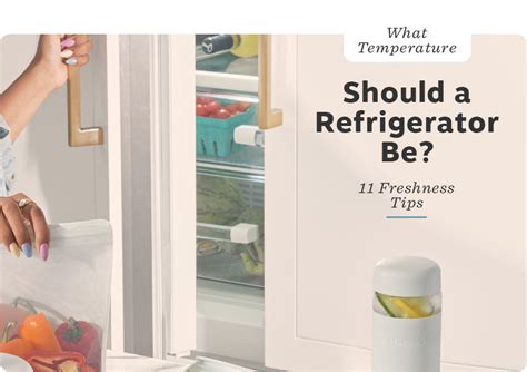 What Temperature Should A Refrigerator Be 11 Freshness Tips Wandp