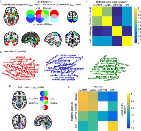 Univariate And Multivariate Analyses Determining Gmv Sex Differences A