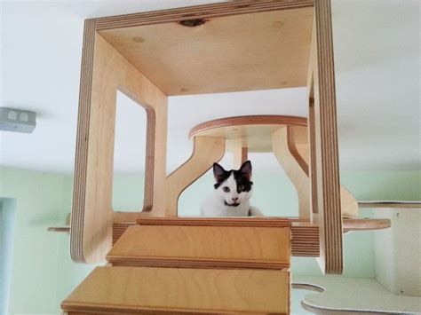 Rooms Turned Into Cat Playgrounds By Goldtatze