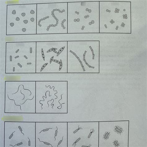 Practical Diagram | Quizlet 
