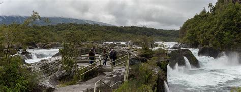 Parque Nacional Vicente P Rez Rosales Tripin