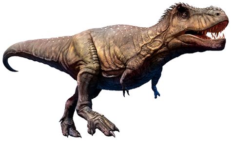 Tyrannosaurus Hình ảnh Sẵn có - Tải xuống Hình ảnh Ngay bây giờ - Chạy ...