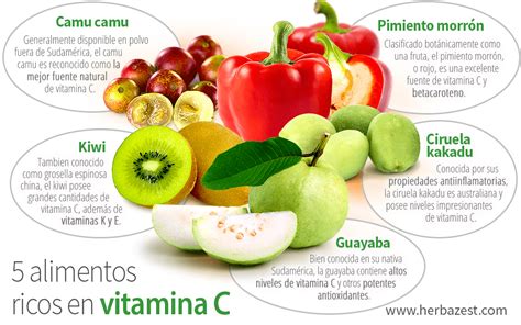 5 Alimentos Ricos En Vitamina C Herbazest