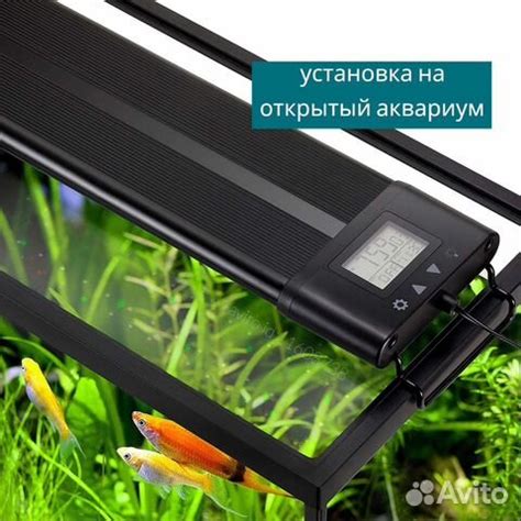 Рассвет Закат. Светильник для аквариума купить в Москве | Животные и ...