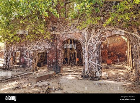 Ancient colonial architecture building ruins at Ross island, Andaman ...