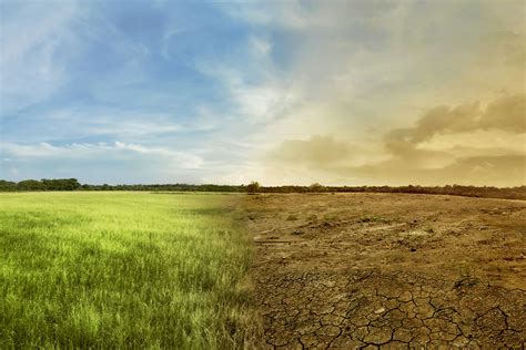 Schimbări Climatice Personalităţi Din întreaga Lume Unite în