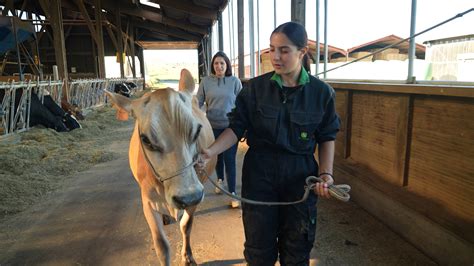 Foires Agricoles Les Femmes Sur Le Podium Patrick Spica Productions