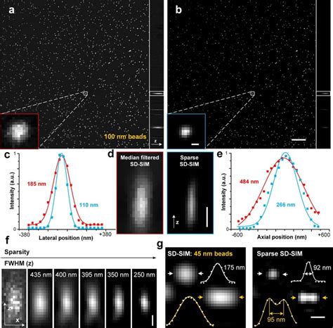 Three Dimensional Image Stack Of Fluorescent Beads Under Sd Sim And