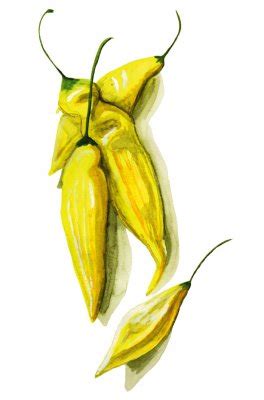 Hot Lemon Nordfrö Fröer på riktigt