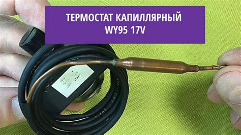 Термостат капиллярный WY95 17V - YouTube
