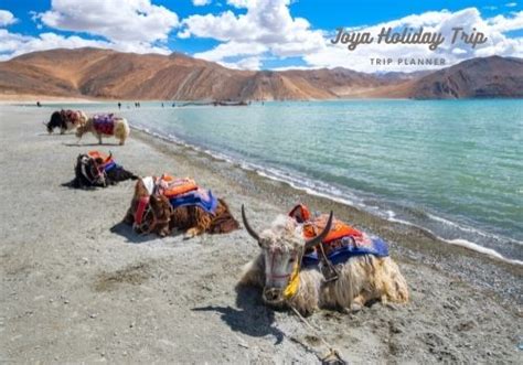 N D Leh Ladakh Tour Package Best Tour Travel Agency In India