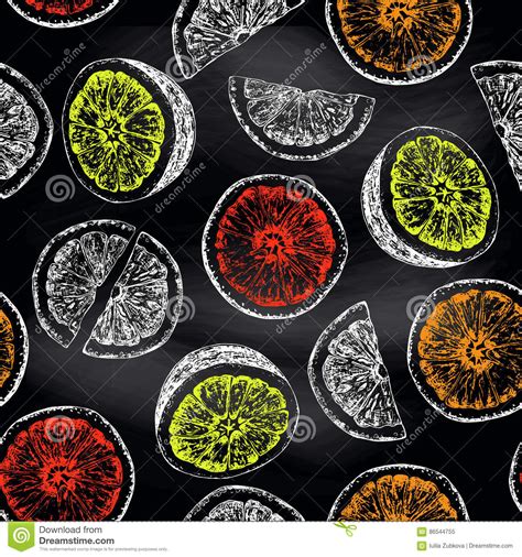 Seamless Pattern Of Isolated Hand Drawn Citrus Fruits In Sketch Stock