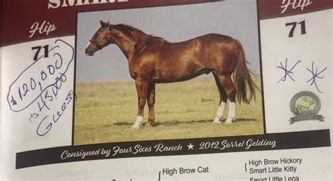 BTC Special Report – Marlon Harris at the 6666 Remuda Horse Sale ...
