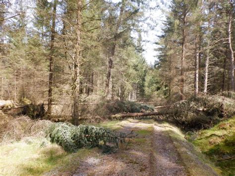 Blocked Road Richard Webb Cc By Sa 2 0 Geograph Britain And Ireland