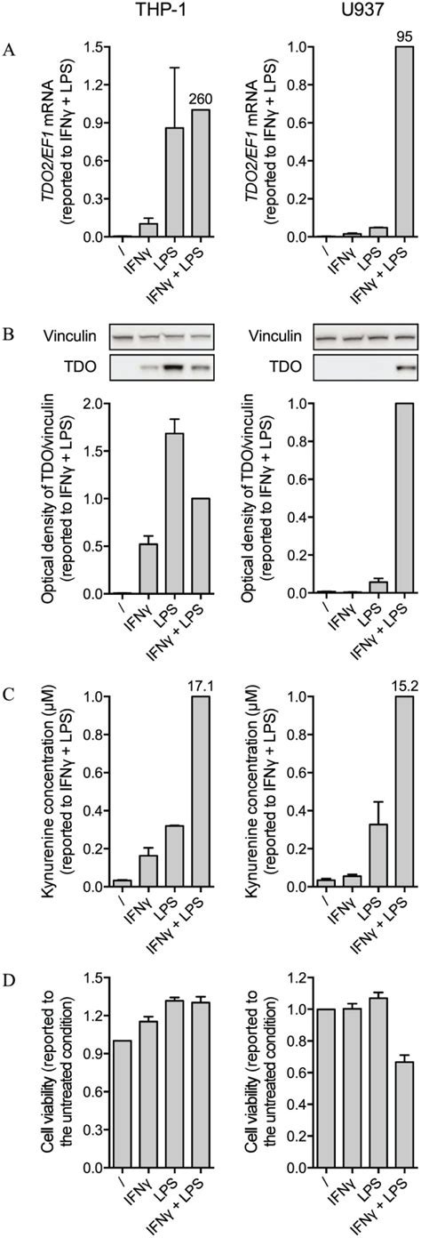 Induction Of Tryptophan 2 3 Dioxygenase Expression In Human Monocytic