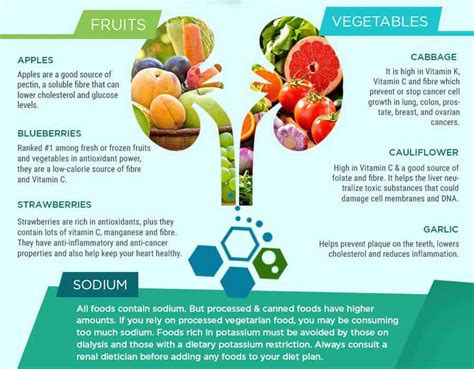 Top 12 Best Foods for Managing Kidney Disease - A Renal Diet