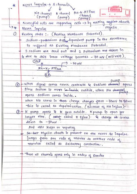 SOLUTION Neural Control And Coordination Handwritten Summary Notes