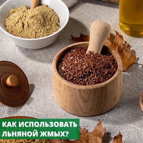 Как использовать Жмых Семян Льна? Жмых - это обезжиренные семена путём ...