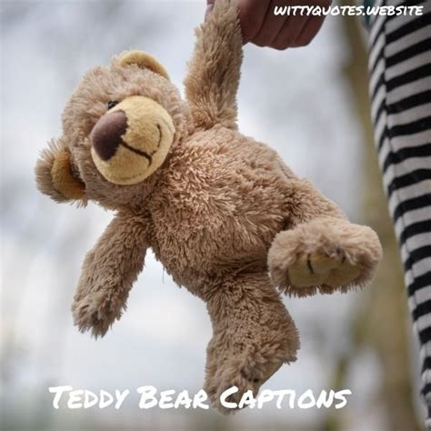 Cute Teddy Bear Captions For Instagram With Quotes