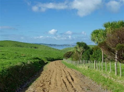 Muddy road stock photo. Image of difficult, outdoors - 23203154