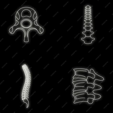 Premium Vector | Spine orthopedic vertebra icons set outline