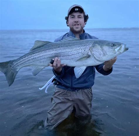 Surfland Bait And Tackle Plum Island Fishing After The Rain