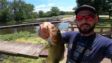 Catfish Cove Maple Grove Boat Launch Froggn Bass Frog Fishing For