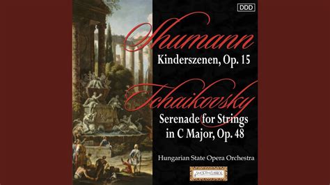 Serenade For String Orchestra In C Major Op Th I Pezzo In