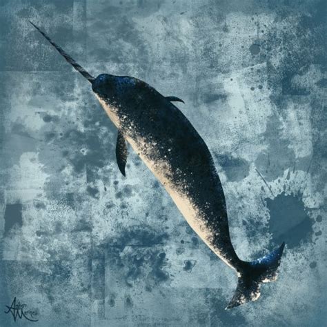 Canvas Print Society6 Narwhal Art By Amber Marine