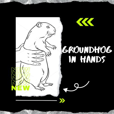 Happy Groundhog Day Clipart Master Bundles