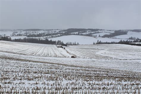 Farm Fields In Winter View Of The Snow Covered Farm Fields Flickr