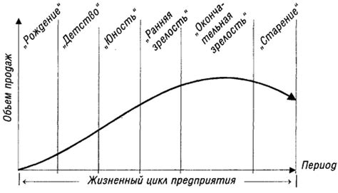 Жизненный цикл предприятия