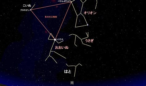 はと座とは？見つけ方や見どころ ステラルーム