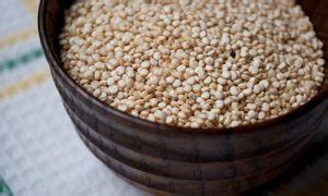 Growing Quinoa Ancient Healthy Seeds Epic Gardening