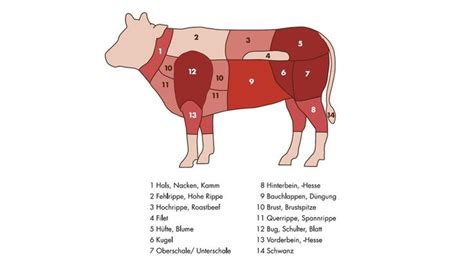 Rindfleisch Teile Welches Stück Beim Rind Woher Stammt Rindfleisch