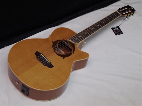 Luna Guitar Acousticguitar