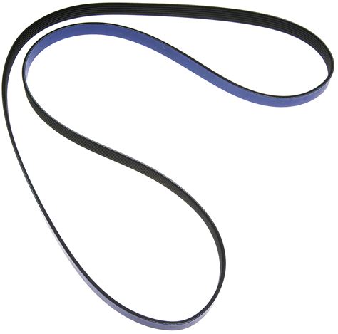 Gates K060775RB K06 13/16" X 78" - Blue | THMotorsports