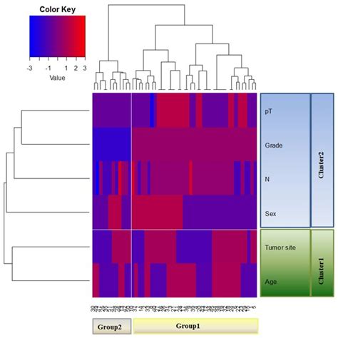 Unsupervised Hierarchical Analysis Based On Clinicopathological