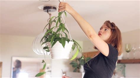 Decorative Ceiling Hooks For Plants | Shelly Lighting