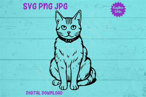 Tabby Cat Sitting Svg Png  Cut Files Graphic By Kaybeesvgs
