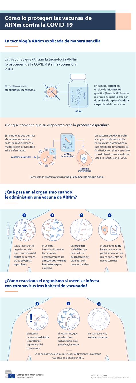 Cómo lo protegen las vacunas de ARNm contra la COVID 19 Consilium