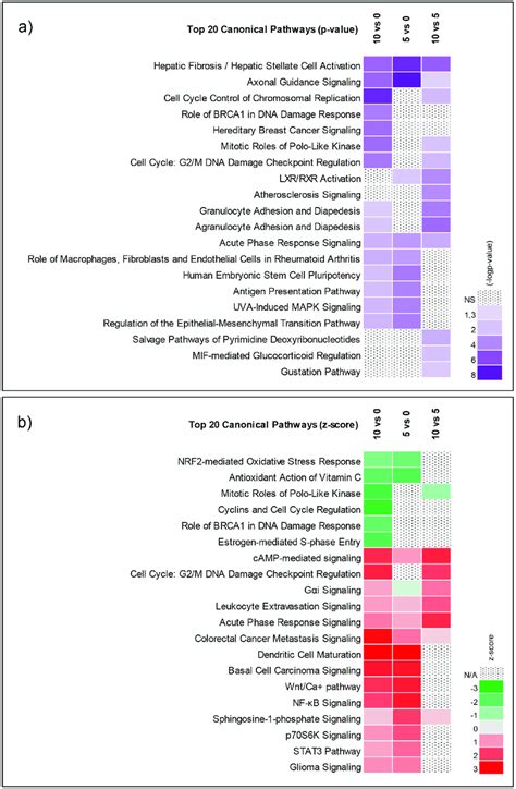 Canonical Pathway Analysis Of Differentially Expressed Genes Using Ipa