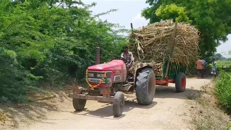 Mahindra Arjun Ultra 1 555 Di Tractor Fully Loaded With Sugarcane