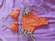 Kupaci Kostim Model Bikini Limundo