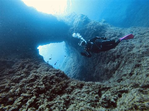 Dive Sites In Malta | Paradise Bay Reef | ABC Diving Malta