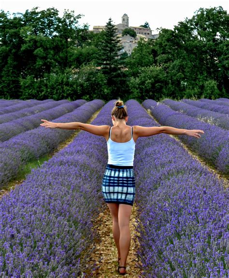 Where To See Lavender Fields In Provence