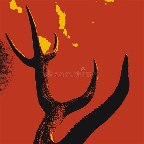 Deer Horn Stock Photo Image Of Wildlife Backgrounds 278091994
