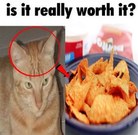 Is it really worth it? | Is It Really Worth It? | Know Your Meme